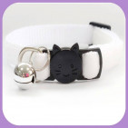 Kitten-184